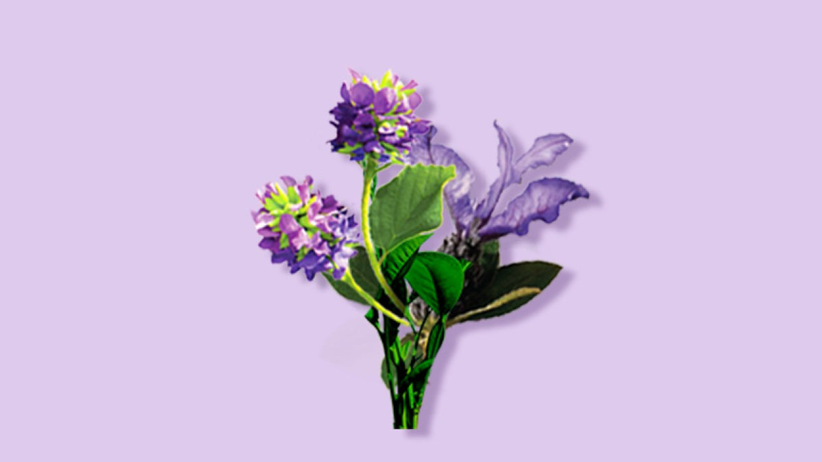 Bakuchiol - Best Kept Secret of Ayurveda – Aroha Oils