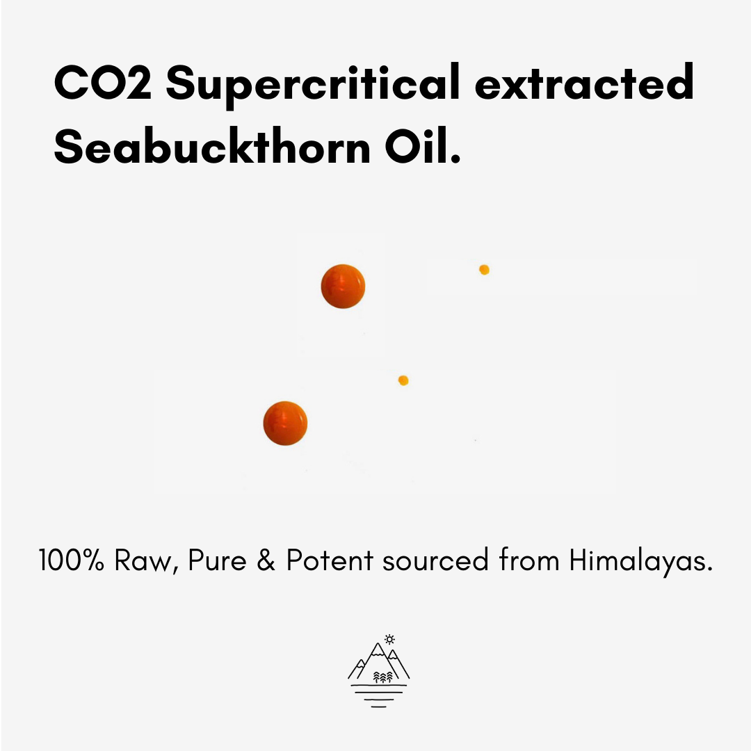 Himalayan Seaberry | Supercritical Co2 Extracted Sea BuckThorn Oil ...